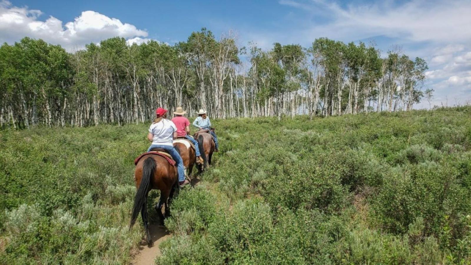 Western Lodge Steamboat Springs Buitenkant foto